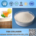 CHINA HALAL FISH COLLAGEN POWDER